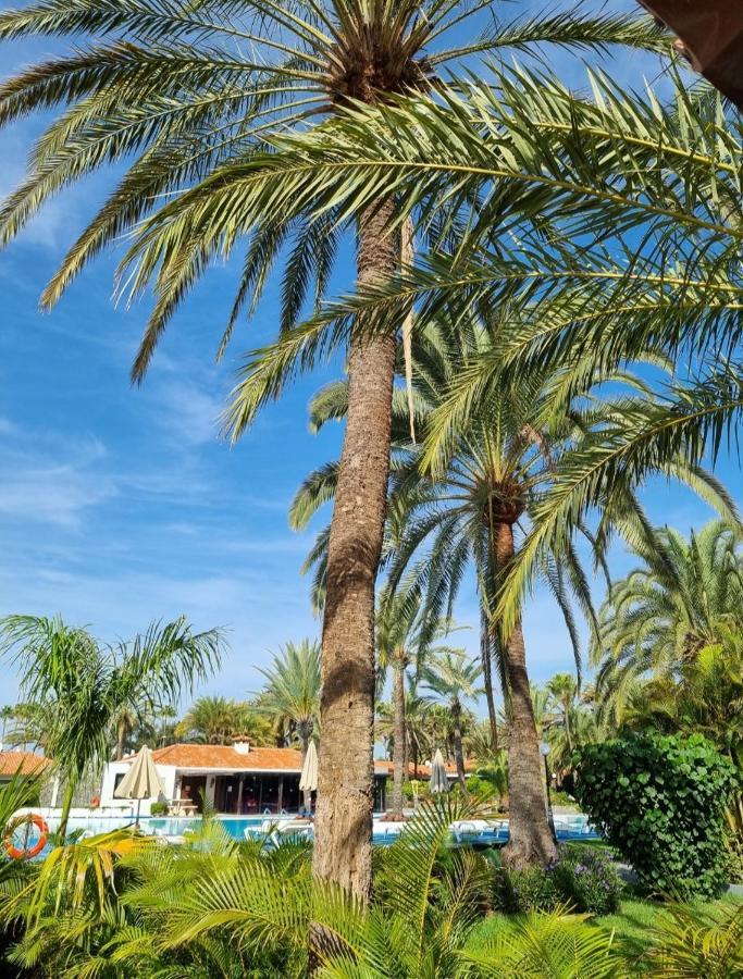 Sun Club P65 Premium Bungalow Maspalomas  Exterior foto