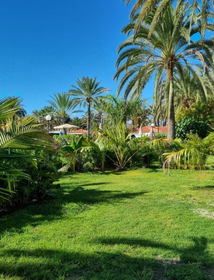Sun Club P65 Premium Bungalow Maspalomas  Exterior foto